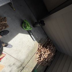Portland 3in1 Blower , Vacuum , Mulcher .