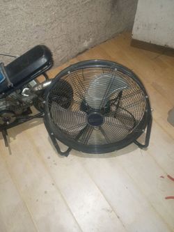 Fan