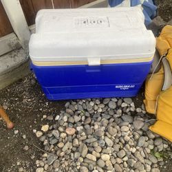 Igloo 50g Ice Chest