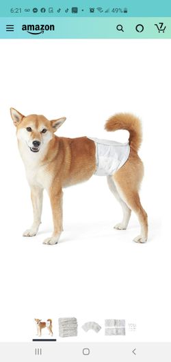 Disposable male dog wrap