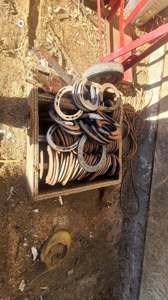 Used Horse Shoes