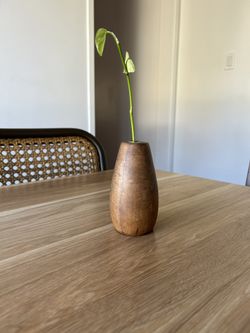Vintage Hardwood Propagation Vase