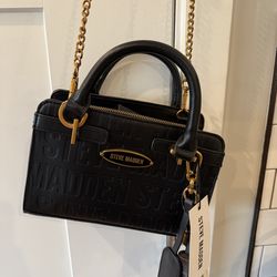 Steve Madden Black purse