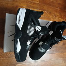 Air Jordan 4s Size 12