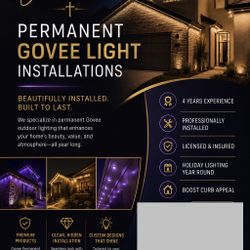 Govee Lights