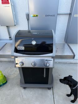 Bbq