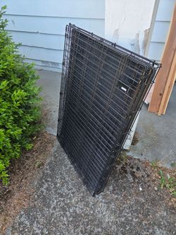 Dog kennel