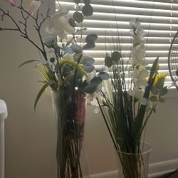 Beautiful Plants 