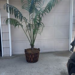 Beautiful, Fake Plant