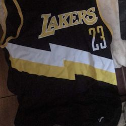 BAPE x Mitchell & Ness Lakers ABC Basketball Swingman Jersey for Sale in  Hartford, CT - OfferUp