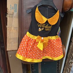 Halloween Dog Costume 