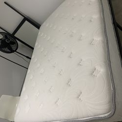 medium  mattress queen Size