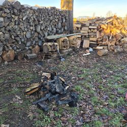Seasoned dry firewood