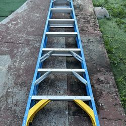 Werner Ladder 