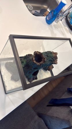 10 GAL fish tank with one accessory