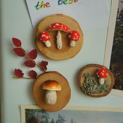 Mushroom Magnets | Amanita Magnets |  Refrigerator Magnets |    Chalkboard Magnet | Plant Garden Cute Fantasy Decor