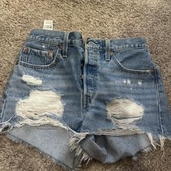 Wanna Shorts 