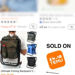 3 in 1 Portable 3lb. Backpack Cooler Chair!
