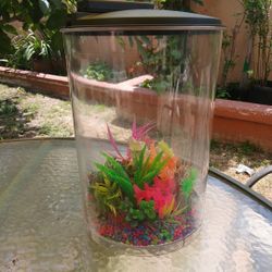 Fish Tank 3  Gallon