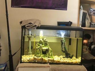 Fish tank (with 2 fish).