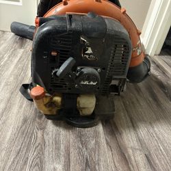 Echo Backpack Blower 