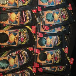 Perfect order blister Pokemon