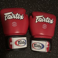 Fairtex Muay Thai Boxing Gloves