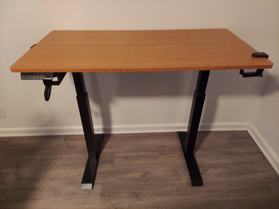 Standing Desk (Electric)