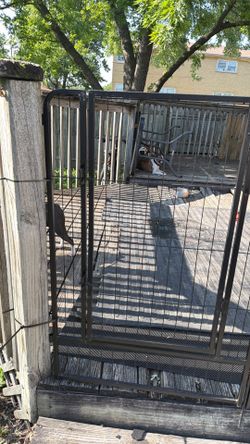 Dog Cages