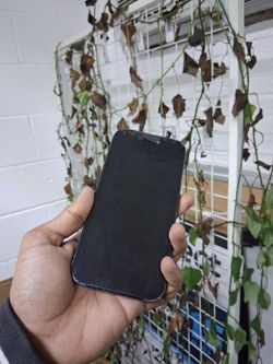 Iphone 12/13 Screen Replacement 