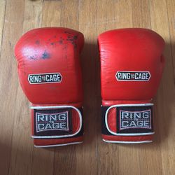 16oz Boxing Mitts
