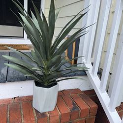 Faux Plant 