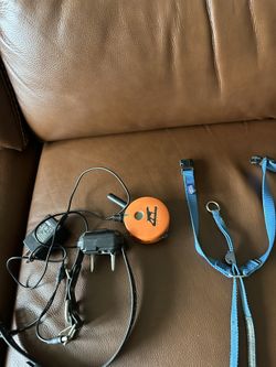 Dog Training, Grooming And Feeding Items