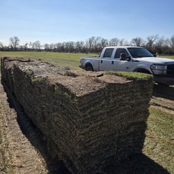 St Agustine Grass Pallets