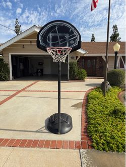 Curb Alert - Basketball Hoop