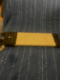 Cat scratcher