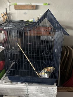 Medium Bird Cages