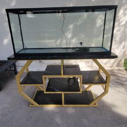 55 Gallon Aquarium Tank and Furniture 