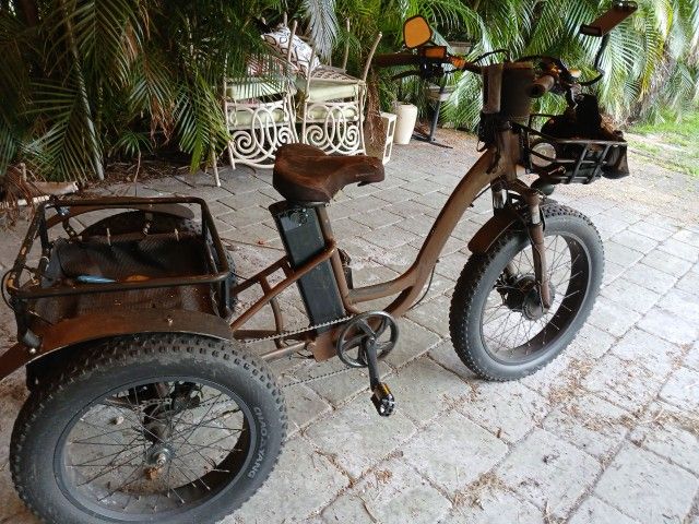 Outdoor Electric Three-wheel Bike