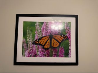 Wall Decor