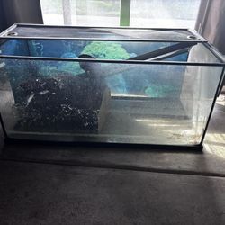 Tank