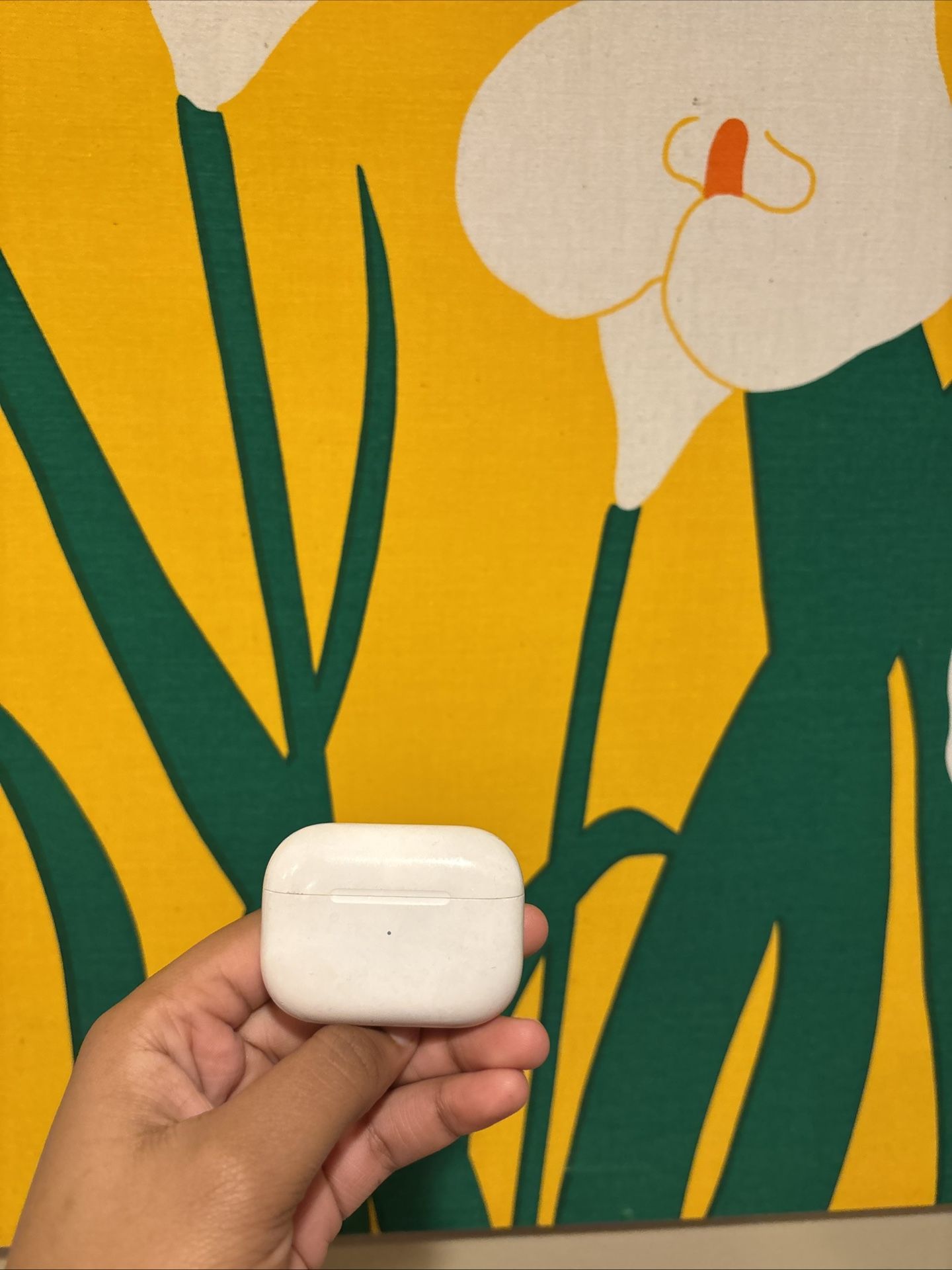 Gently Used Apple AirPod Pros 2nd Gen with Wireless Charging Case