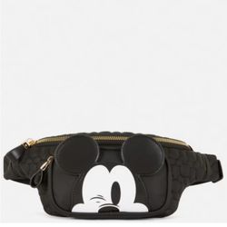 Mickey Mouse Travel Bag