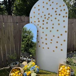 Backdrop For Sale 