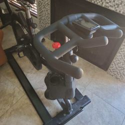 Real Ryder Indoor Cycle