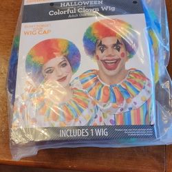 Brand New Clown Wig