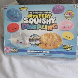 Mystery squishy