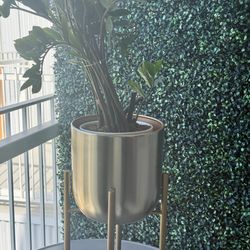 Gold Plant Holder