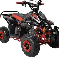 110cc ATV Four Wheeler Quad Auto With Reverse 