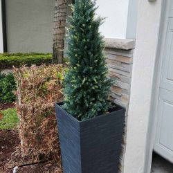 Home front decor vase and plant set vase and plant outdoor